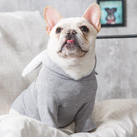 Dog Pet Clothes Spring And Autumn Clothing