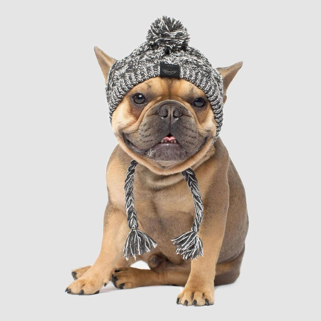 Thewisewag UAE pet dog STORE knitted hat 