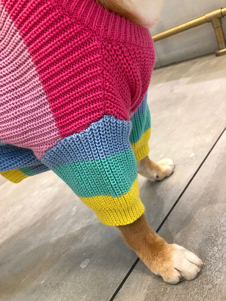 Thewisewag UAE pet dog STORE rainbow sweater
