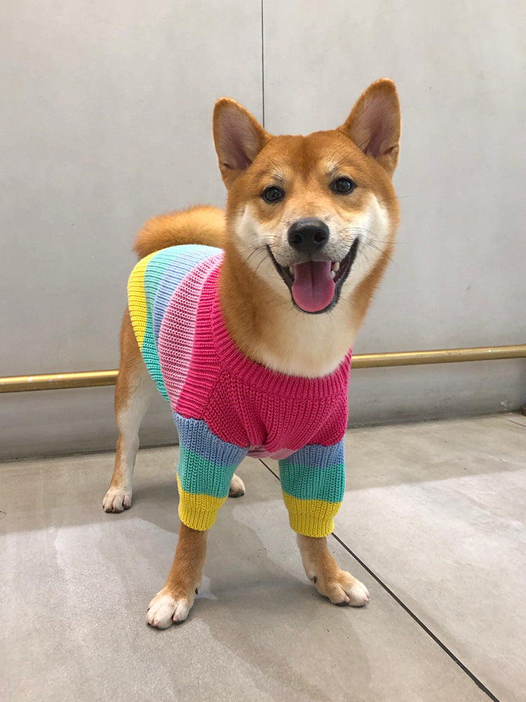 Thewisewag UAE pet dog STORE rainbow sweater
