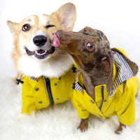 Dog Yellow Raincoat For Bigger Dogs