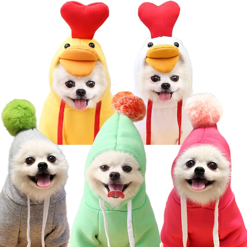 Fun Small & Medium Dog Clothes