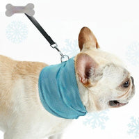 Thewisewag UAE pet dog STORE cooling bandana collar