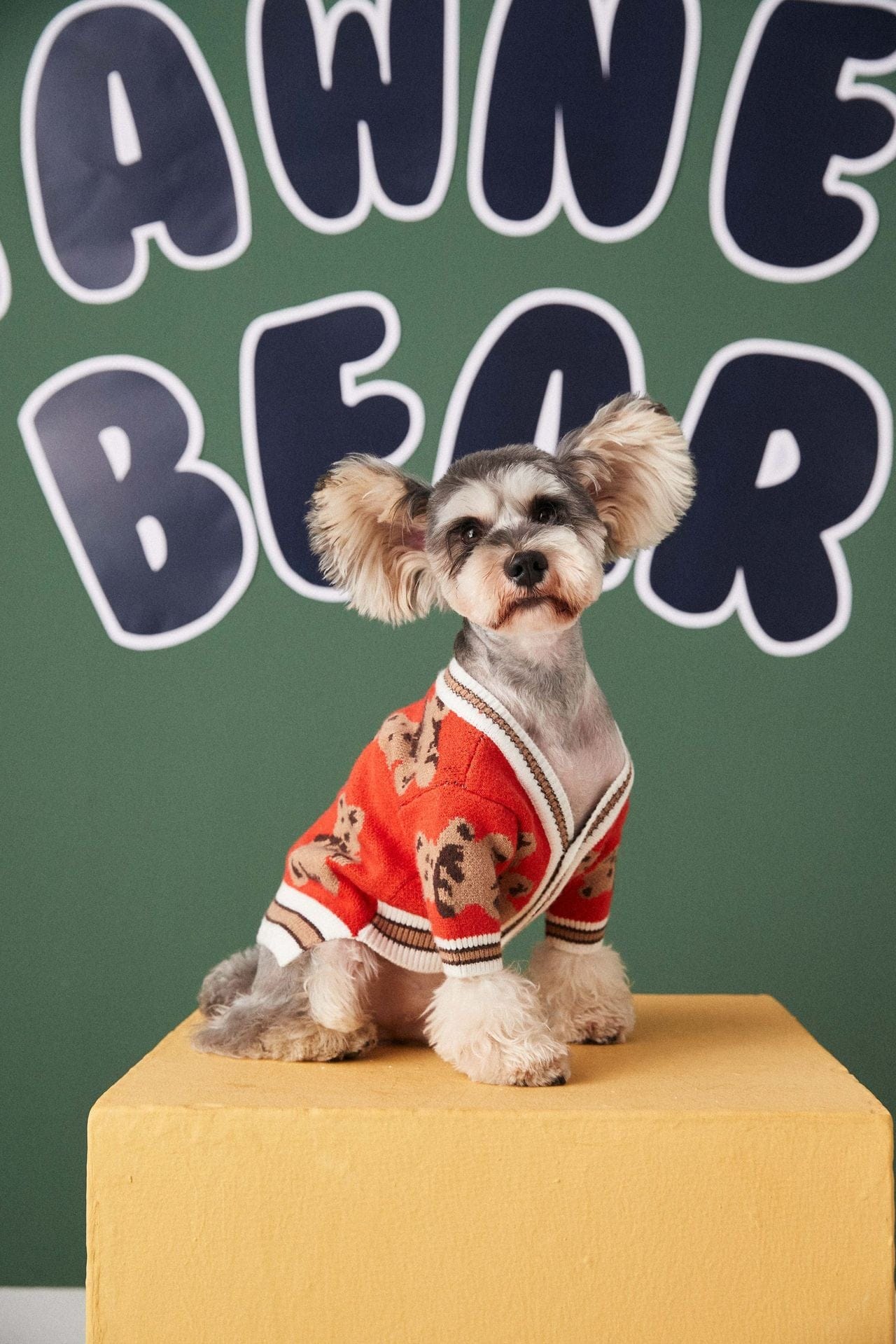 Dog Sweater Preppy Style V-Neck