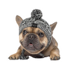 Thewisewag UAE pet dog STORE knitted hat 